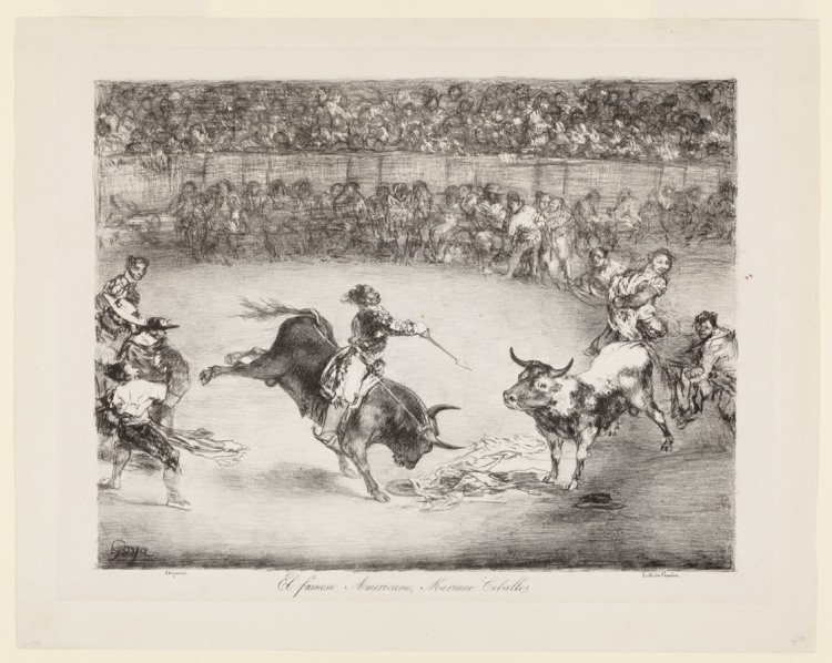 The famous American, Mariano Ceballos
The Bulls of Bordeaux de Francisco de Goya
