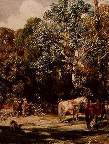 A hold in the timber forest. de Francisco Domingo Marqués