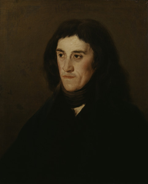 Portrait of Unknown Man de Francisco José de Goya