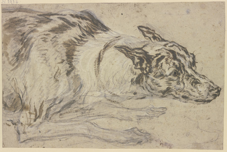 Gefleckter Hundekopf mit Vorderpfoten de Frans Snyders