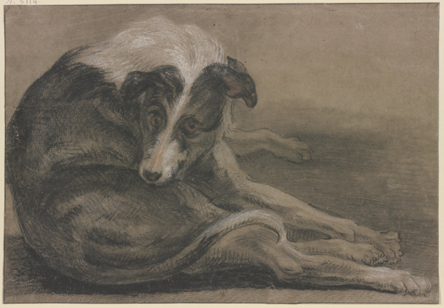 Greyhound, lying de Frans Snyders