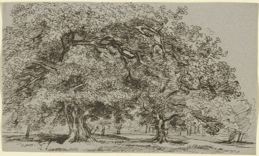 Trees on a meadow de Franz Innocenz Josef Kobell