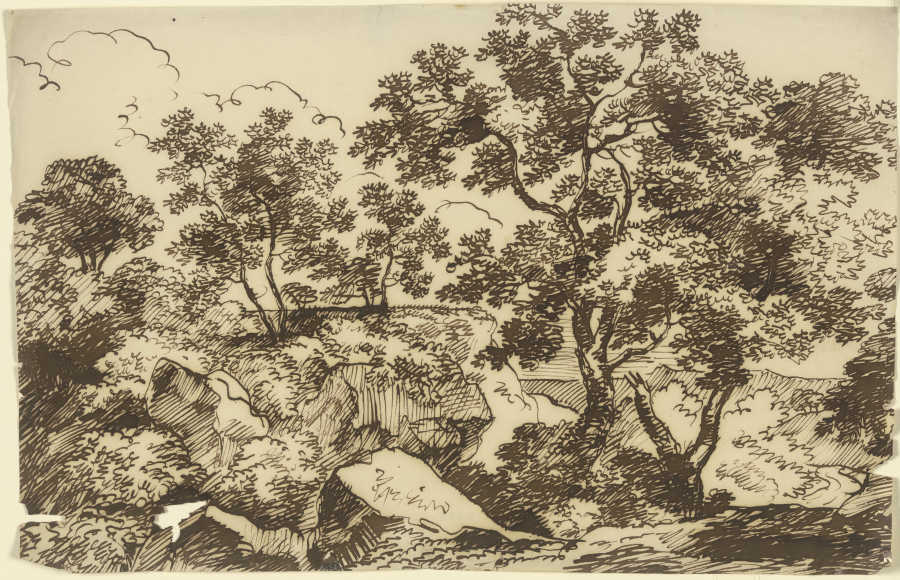 Bäume in einer felsigen Landschaft de Franz Innocenz Josef Kobell