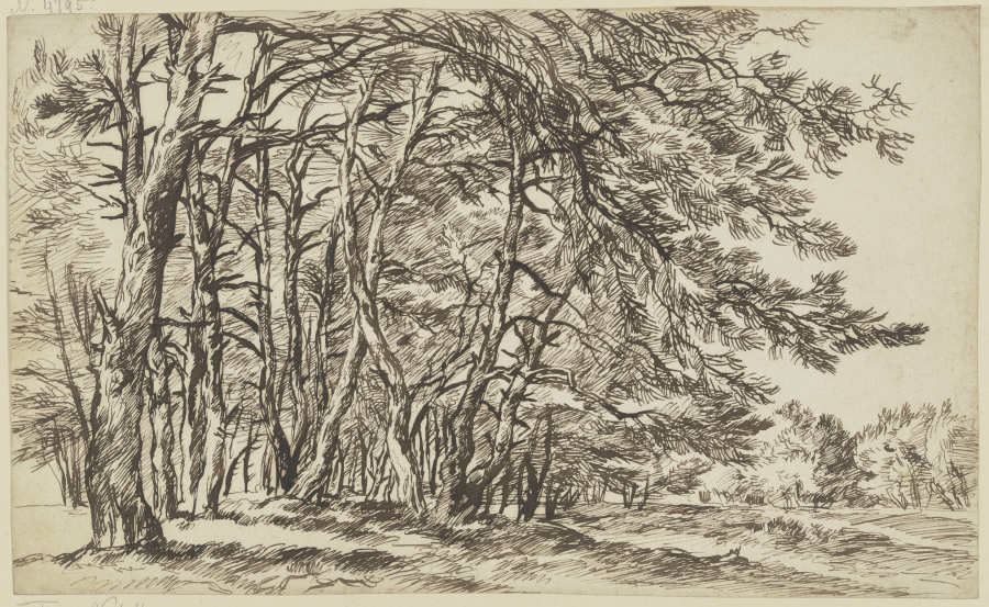 Thick group of trees de Franz Innocenz Josef Kobell