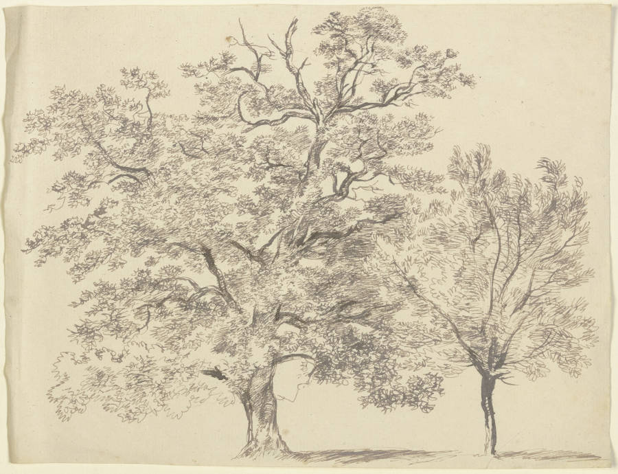 Ein alter und ein junger Baum de Franz Innocenz Josef Kobell
