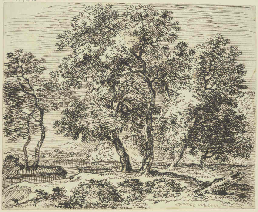High grove of trees de Franz Innocenz Josef Kobell