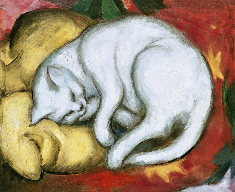 Gato sobre el almohadón amarillo de Franz Marc