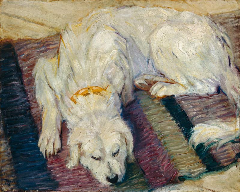 Lying dog (dog portrait) de Franz Marc