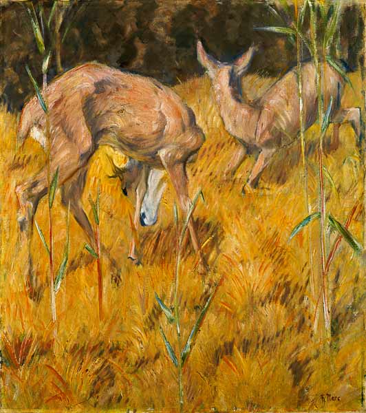 Deer in the reed de Franz Marc