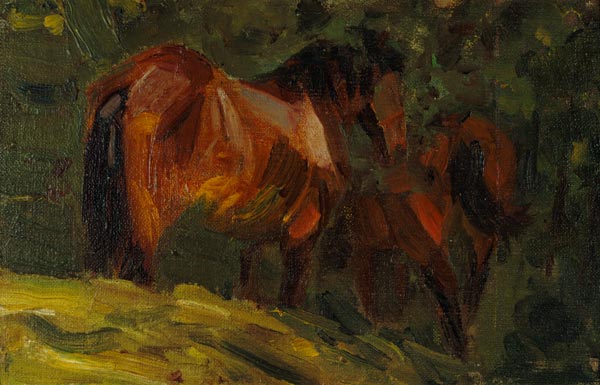 Little horse study I. de Franz Marc