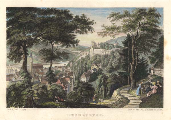 Heidelberg , View from the West de Franz Xaver Eisner