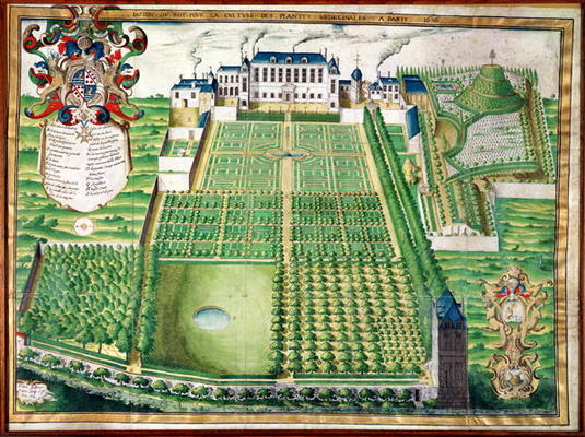 The King's Medicinal Plant Garden, 1636 (engraving on vellum) de Frederic Scalberge