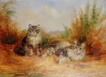 Two Tabby Kittens in a Rural Landscape de Frederick French