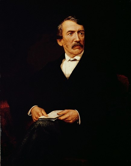 Portrait of Livingstone (1813-1873) de Frederick Havill