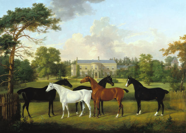 Five racehorses in front of an English country hou de Frederick W. Keyl