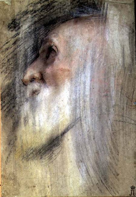 Head of an Old Man in Profile de Federico Fiori Barocci