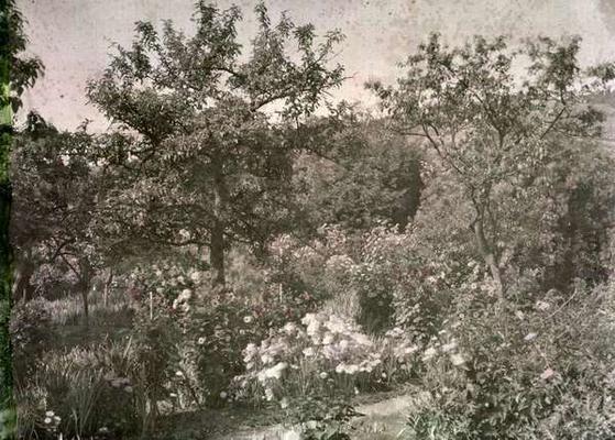 View of Giverny, Monet's Garden, early 1920s (photo) de French Photographer, (20th century)
