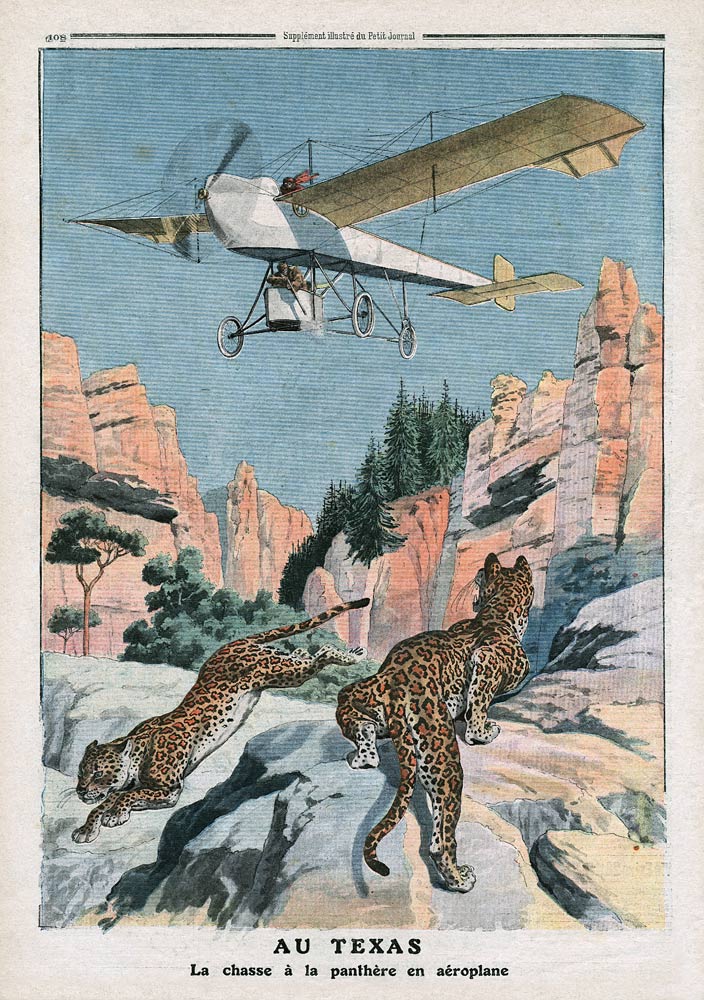 Hunting panthers from an airplane in Texas, illustration from ''Le Petit Journal'', supplement illus de French School