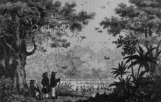 Bird Hunting, from ''Bresil, Columbie et Guyanes'' Ferdinand Denis and Cesar Famin de French School