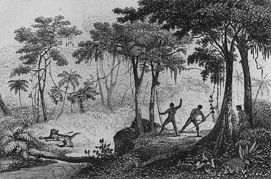 Jaguar Hunt, from ''Bresil, Columbie et Guyanes'' Ferdinand Denis and Cesar Famin 1837 (engraving) de French School