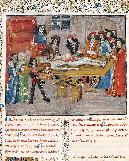 Ms H 184 fol.14v Dissection lesson at the Faculty of Medicine in Montpellier, from ''La Grande Chiru de French School