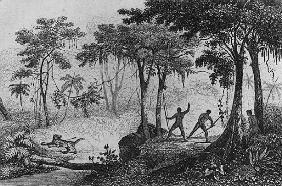 Jaguar Hunt, from ''Bresil, Columbie et Guyanes'' Ferdinand Denis and Cesar Famin 1837 (engraving)