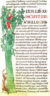 Ms 173 f.41 Historiated inital 'I' depicting a monk and a lay chopping and pruning a tree, from Mora de French School, (12th century)
