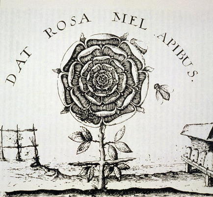 Rosicrucian Allegory, copy of an engraving by Johann Theodore de Bry (c.1598), used in a 'History of de French School, (16th century) (after)
