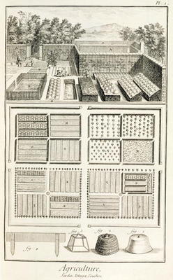 A vegetable garden, from 'The Encyclopedia of Science, Art and Engineering' by Denis Diderot (1713-8 de French School, (18th century)