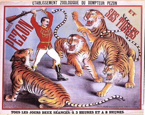Poster advertising 'Adrien Pezon and his Tigers', c.1897 (colour litho) de French School, (19th century)