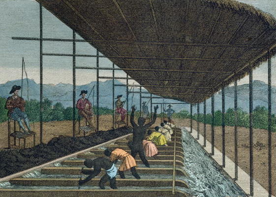 Slaves washing 'cascalho' as part of the diamond mining process in Brazil, 1811 (coloured engraving) de French School, (19th century)