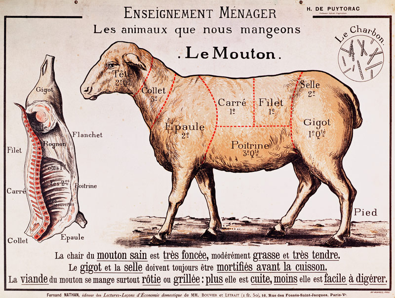 Mutton: diagram depicting the different cuts of meat (colour litho) de French School, (20th century)
