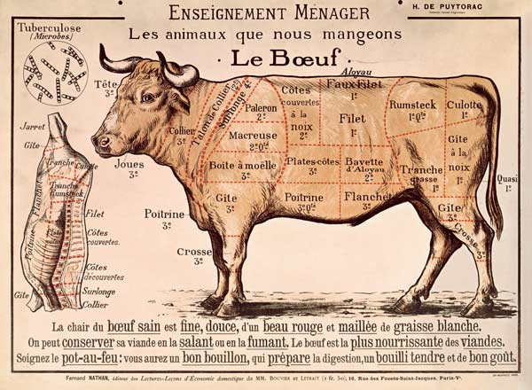 Beef: diagram depicting the different cuts of meat (colour litho) de French School, (20th century)