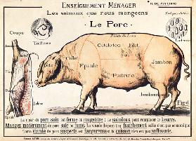 Cortes de Cerdo, ilustración de un Manual de Ciencia Doméstica Francés por H. de Puytorac
(Litograf