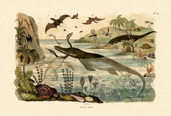 Prehistoric animals de French School, (19th century)