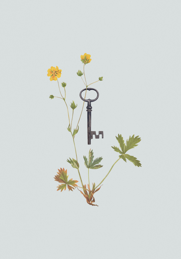 Botanical vintage key de Frida Floral Studio
