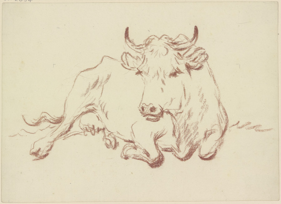 Lying cow en face de Friedrich Wilhelm Hirt