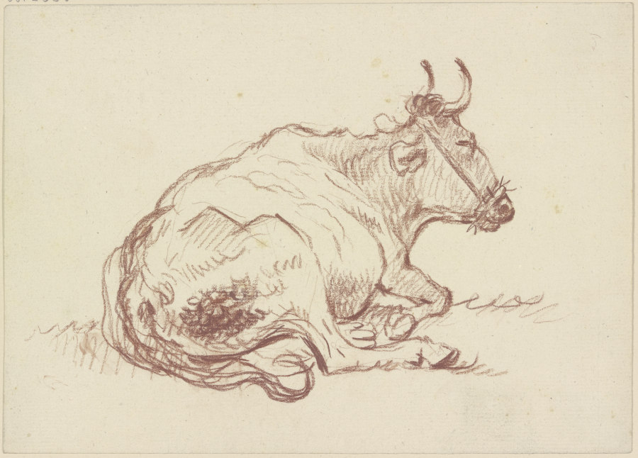 Liegende Kuh nach rechts de Friedrich Wilhelm Hirt