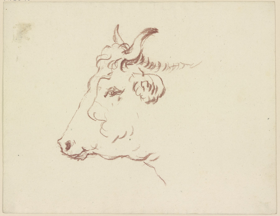 Ox head to the left de Friedrich Wilhelm Hirt