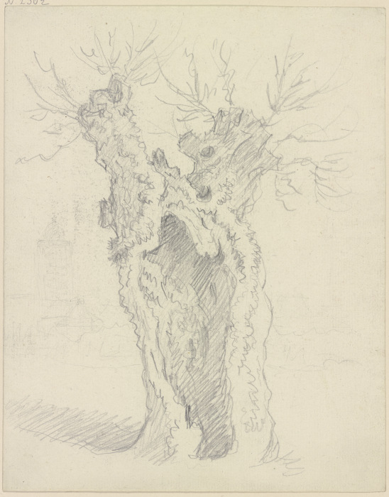 Willow trunk de Friedrich Wilhelm Hirt