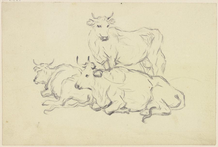Zwei liegende und ein stehendes Rind de Friedrich Wilhelm Hirt