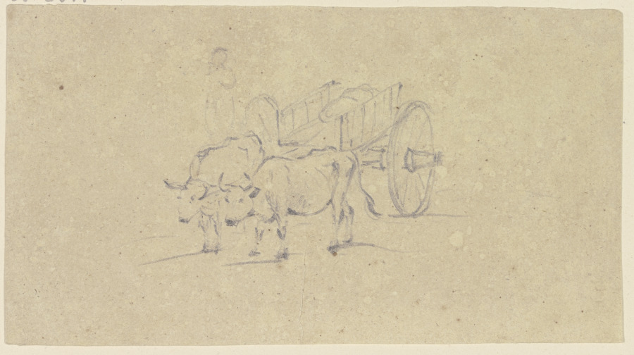 Zwei Ochsen ziehen einen Karren, von vorne gesehen de Friedrich Wilhelm Hirt
