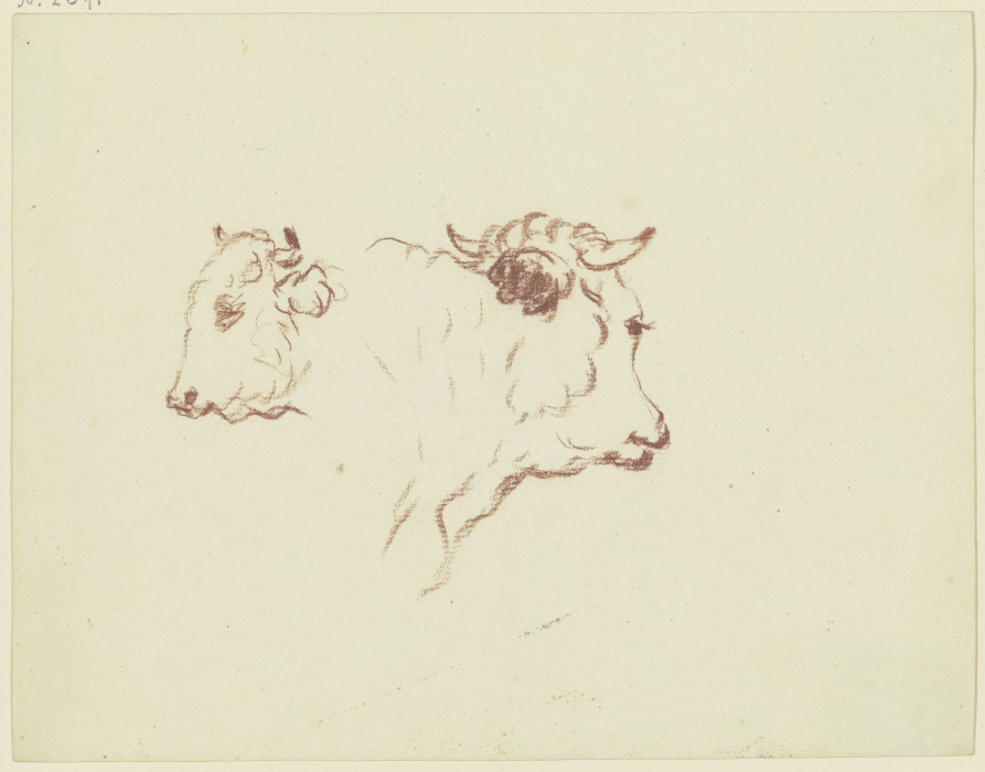 Two cattle heads de Friedrich Wilhelm Hirt