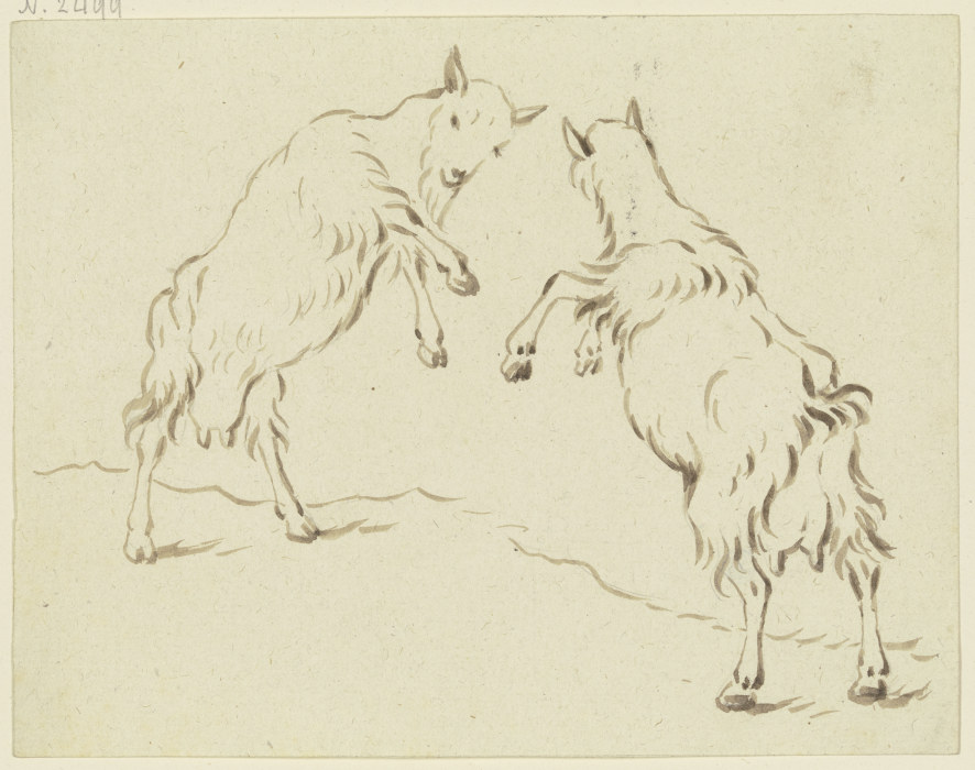 Zwei Ziegen, einander angreifend de Friedrich Wilhelm Hirt