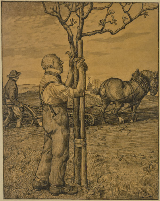 Gärtner, einen Baum anbindend de Fritz Boehle