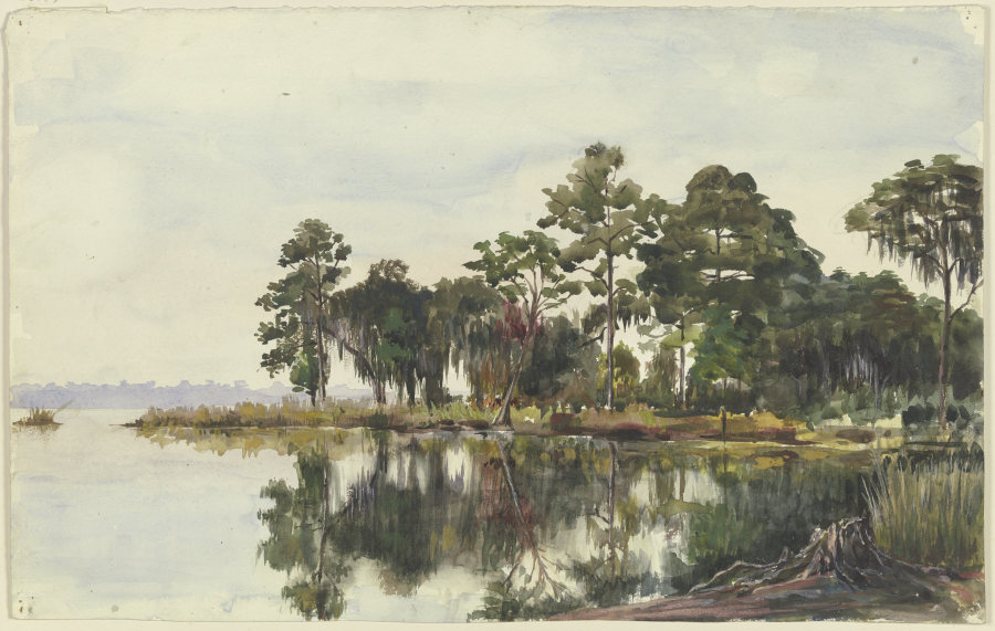 Baumschlag am Wasser, Jacksonville de Fritz Hauck