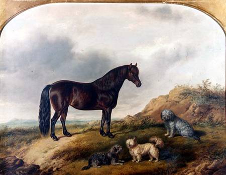 A Pony and three Terriers in a landscape de G. Jackson