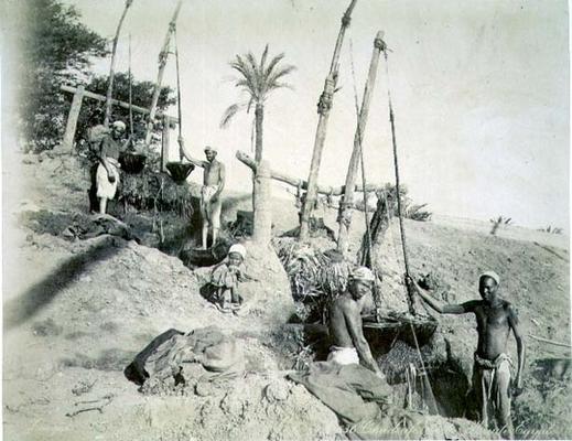 Shadufs in Upper Egypt (sepia photo) de G. Lekegian