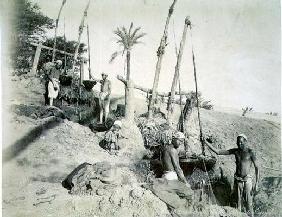 Shadufs in Upper Egypt (sepia photo)