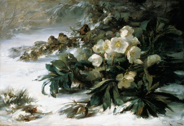Snow roses de Gabriel Edouard Thurner